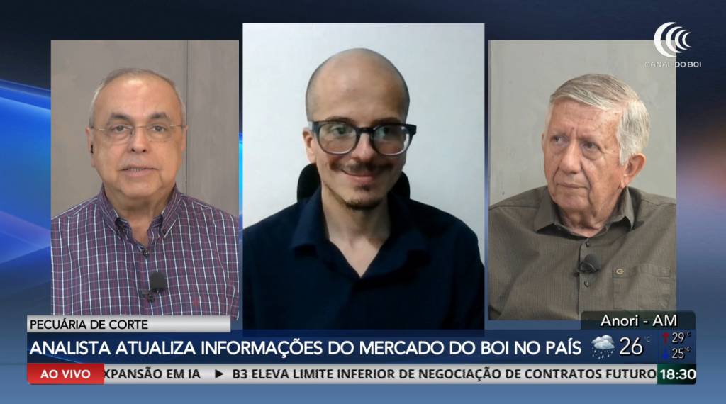 Impacto das eleições na pecuária de corte