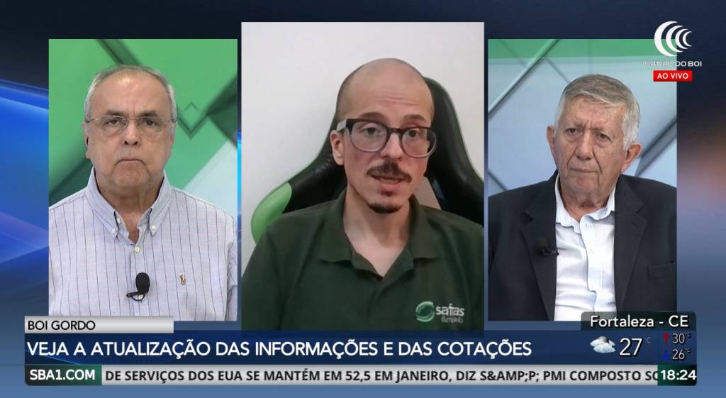 Safras & Mercado vê ambiente favorável para altas no preço da arroba