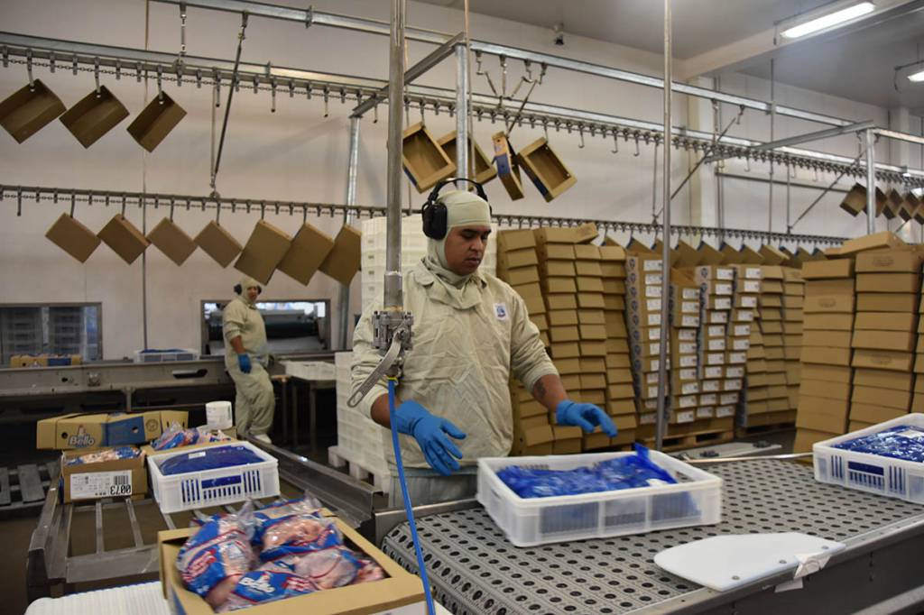 FGVAgro: produção da agroindústria cai 1,9% em fevereiro ante fevereiro de 2025