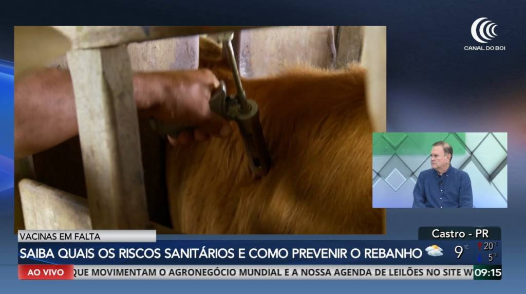 Saiba quais os riscos sanitários que a falta de vacinas pode trazer para o seu rebanho