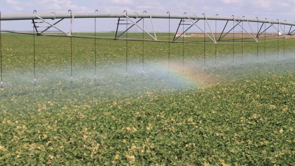 Governo de SP chega a R$ 56 milhões investidos em irrigação sustentável