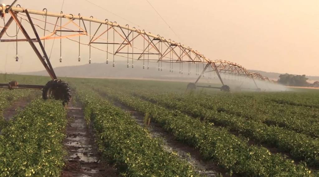 Uso da irrigação ajuda a minimizar impactos do clima e aumenta a produtividade da lavoura