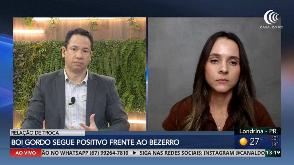 Boi gordo mantém valorização e favorece relação de troca na pecuária