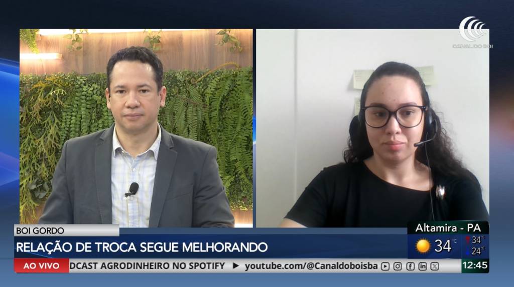 Mercado do boi gordo com bom ritmo e sequências de alta