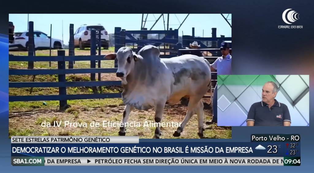 Pioneirismo e tradição da Sete Estrelas Patrimônio Genético elevou qualidade da genética nelore no Brasil