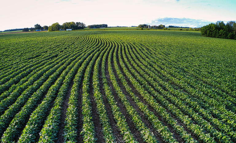 Registros de emissão de CPR chegam a R$ 560 bilhões em março