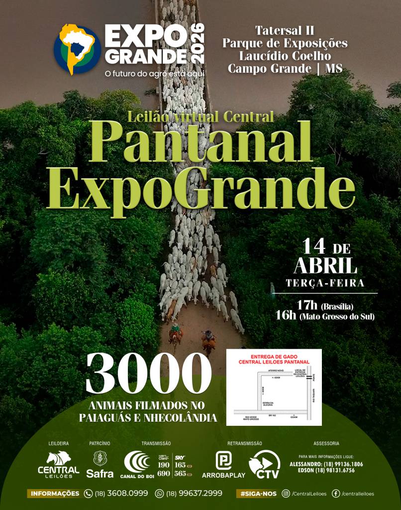 Central Leilões realiza dobradinha com oferta de gado de corte direto da Expogrande em MS