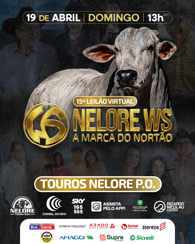15º Leilão Virtual Nelore WS oferta touros nelore PO neste domingo no Canal do Boi