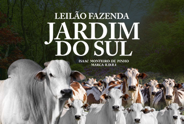 Leilão Fazenda Jardim do Sul oferta reprodutores e fêmeas neste sábado no Canal do Boi