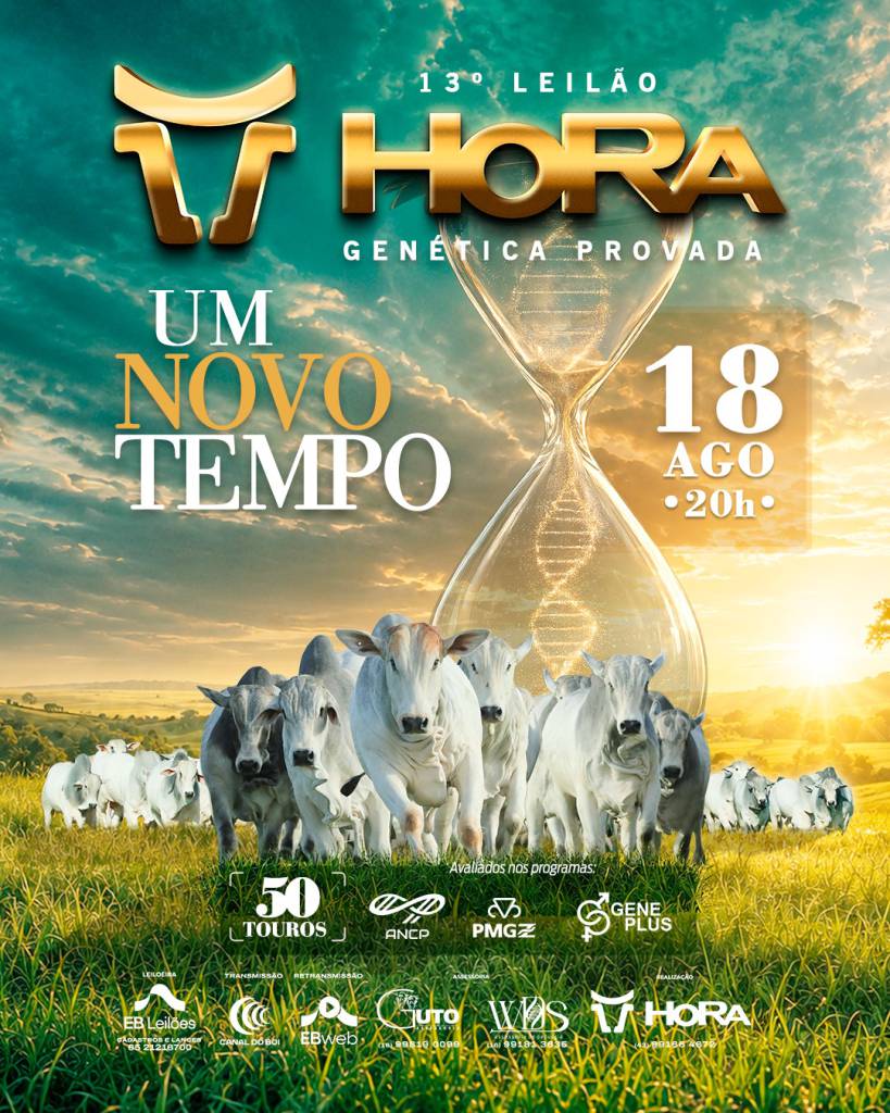 13º Leilão Hora Genética Provada oferta reprodutores selecionados hoje no Canal do Boi