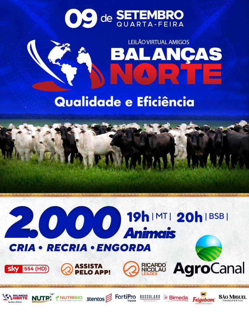 Leilão Virtual Amigos das Balanças Norte oferta gado de corte nesta quarta-feira no AgroCanal