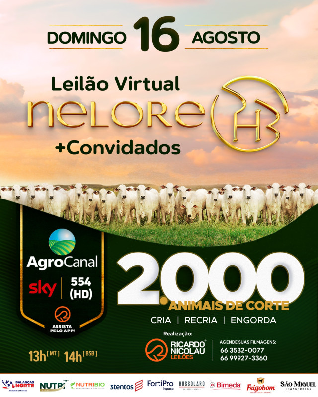 1º Leilão Nelore PHB & Convidados oferta animais de corte neste domingo no Agrocanal