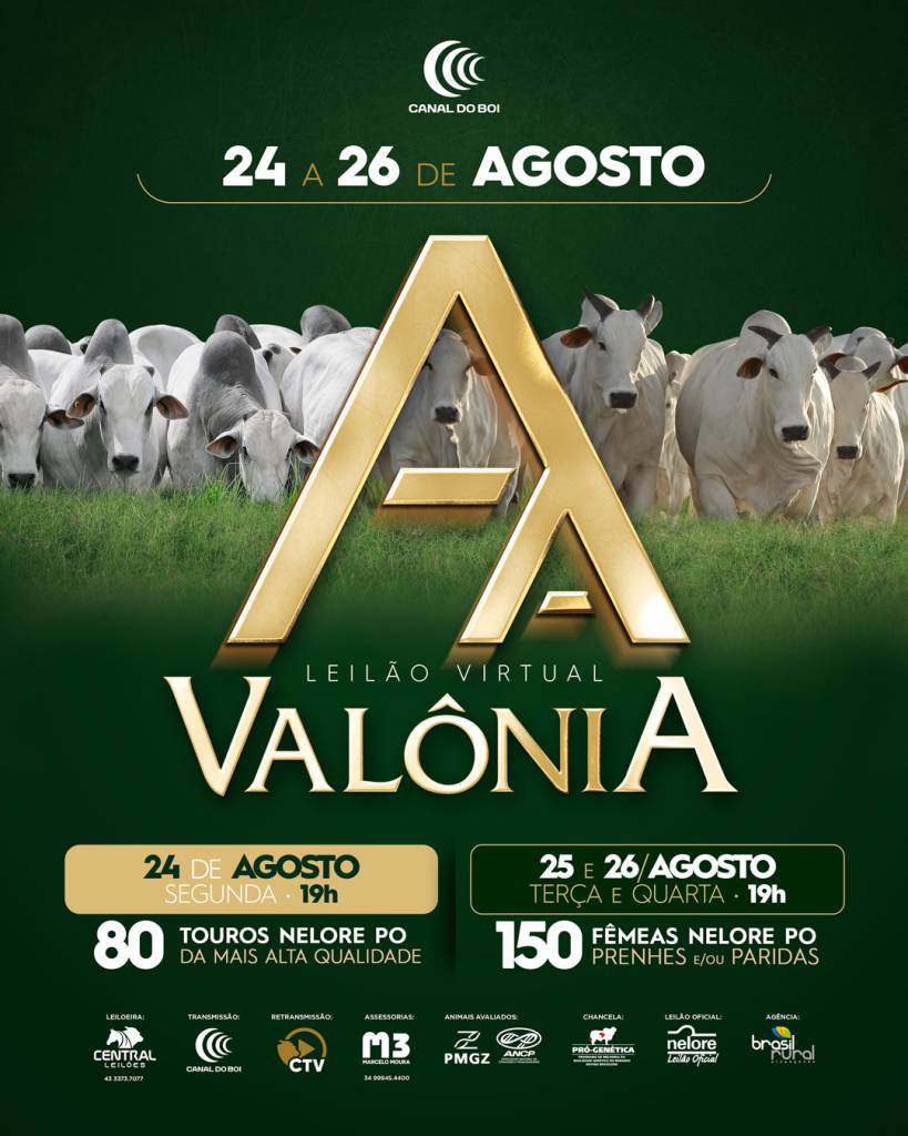 Fazenda Valônia oferta fêmeas nelore PO prenhes e/ou paridas nesta terça-feira no Canal do Boi