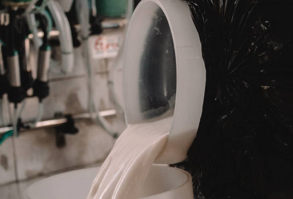 Produtores de leite enfrentam início de ano difícil, mas setor projeta reação nos próximos meses