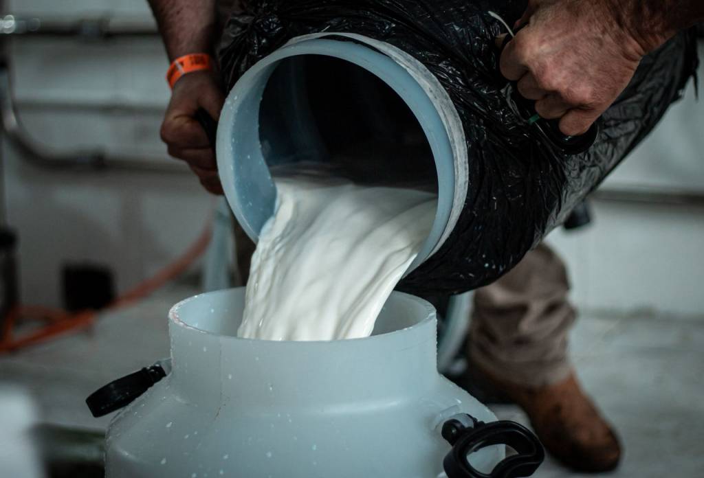 Gadolando registra queixas de criadores sobre nova queda no preço do leite pago ao produtor no Rio Grande do Sul