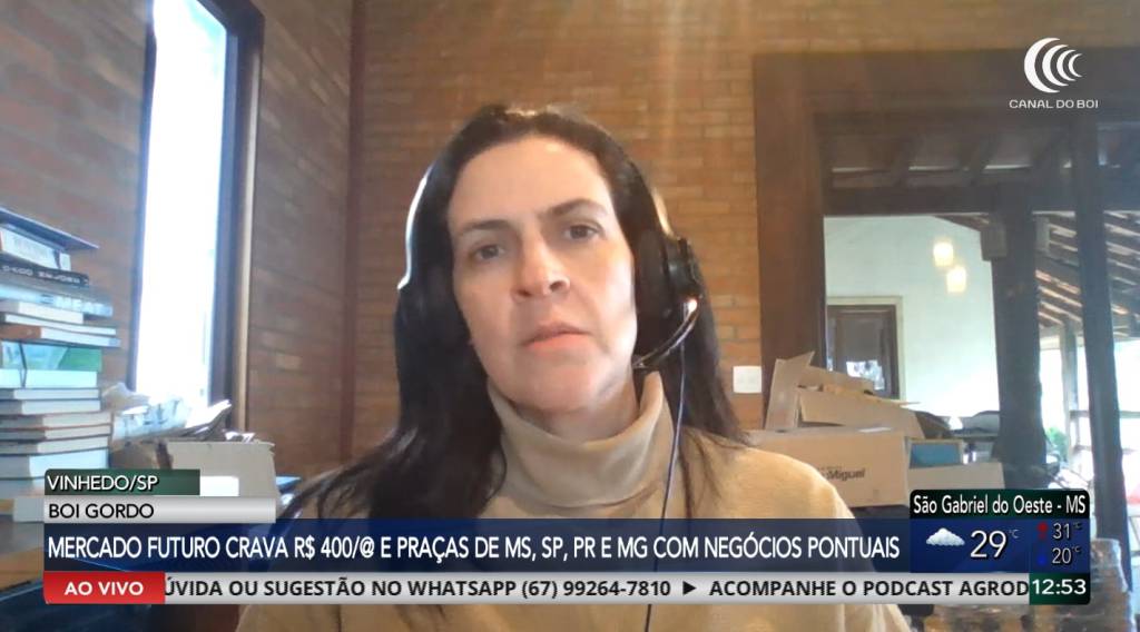 Boi gordo atinge R$ 400 no mercado futuro e demanda por carne brasileira segue aquecida