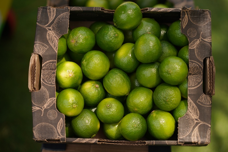 Baixa oferta de limão tahiti eleva preços
