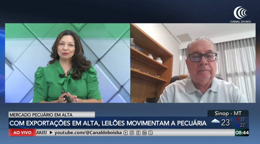 Com exportações e mercado interno aquecidos, leilões movimentam a pecuária brasileira