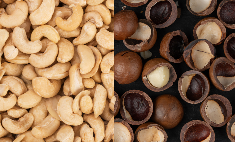 Aberturas de mercado para o Brasil na Turquia e em Singapura