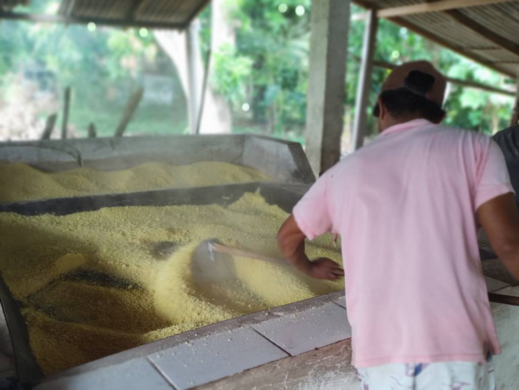Treinamento sobre cultivo da mandioca e melhoria da qualidade da farinha será realizado em Cidelândia-MA