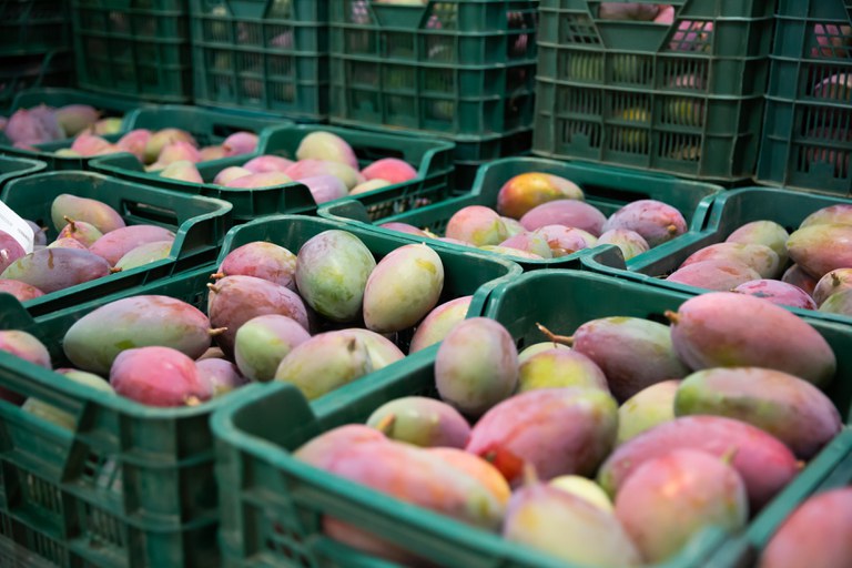 Acordo Mercosul-União Europeia traz novas expectativas para as exportações de frutas do Brasil
