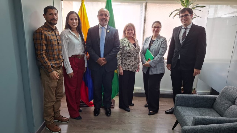Brasil fortalece articulação com importadores colombianos para ampliar exportações de frutas frescas
