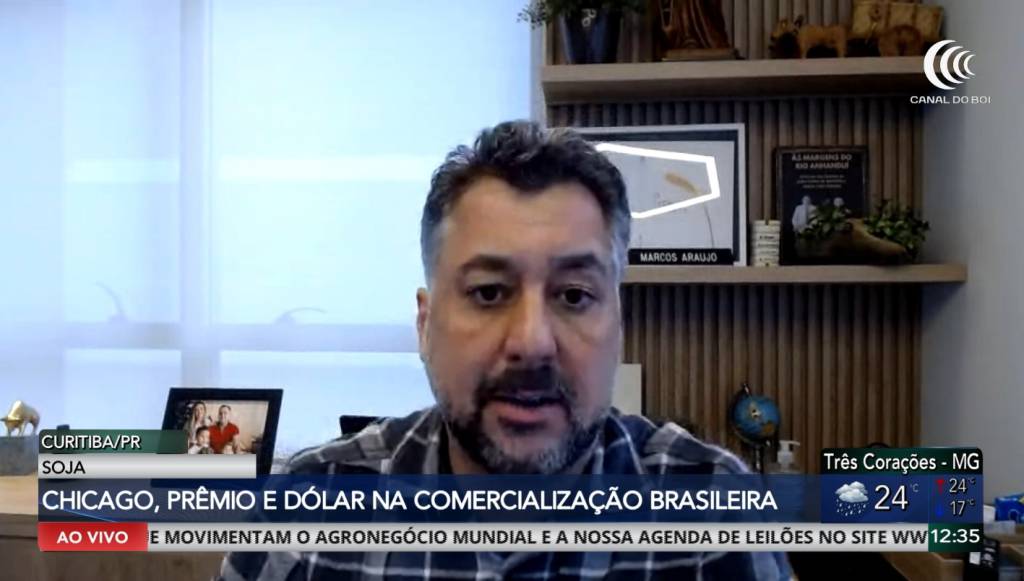 Soja busca recuperação após três sessões consecutivas de queda