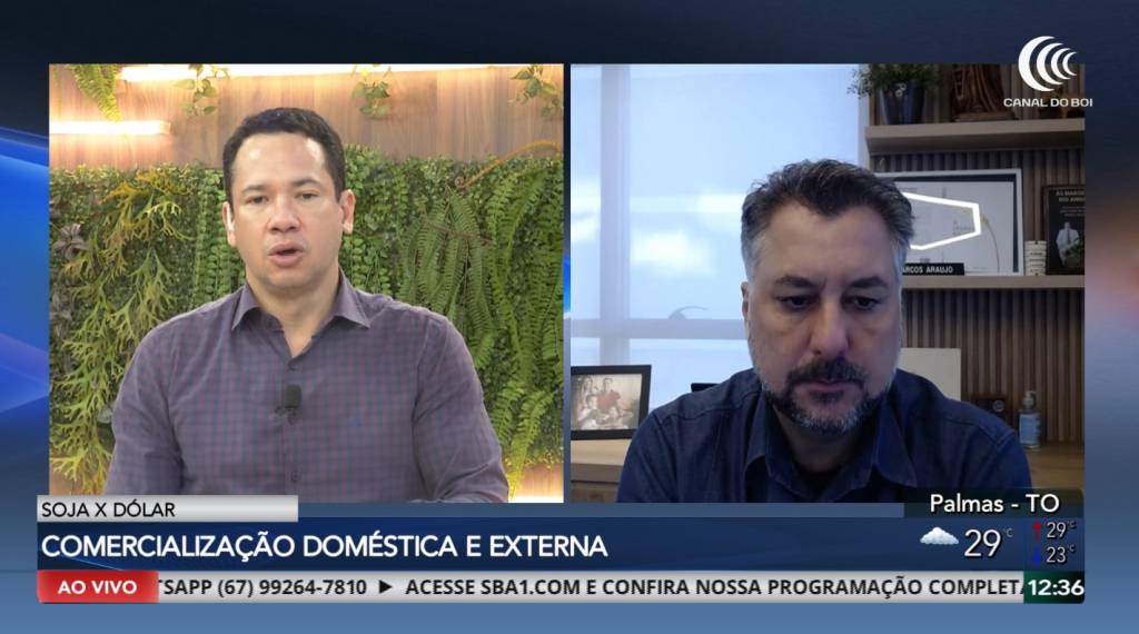 Queda do dólar segue impactando preços da soja e milho