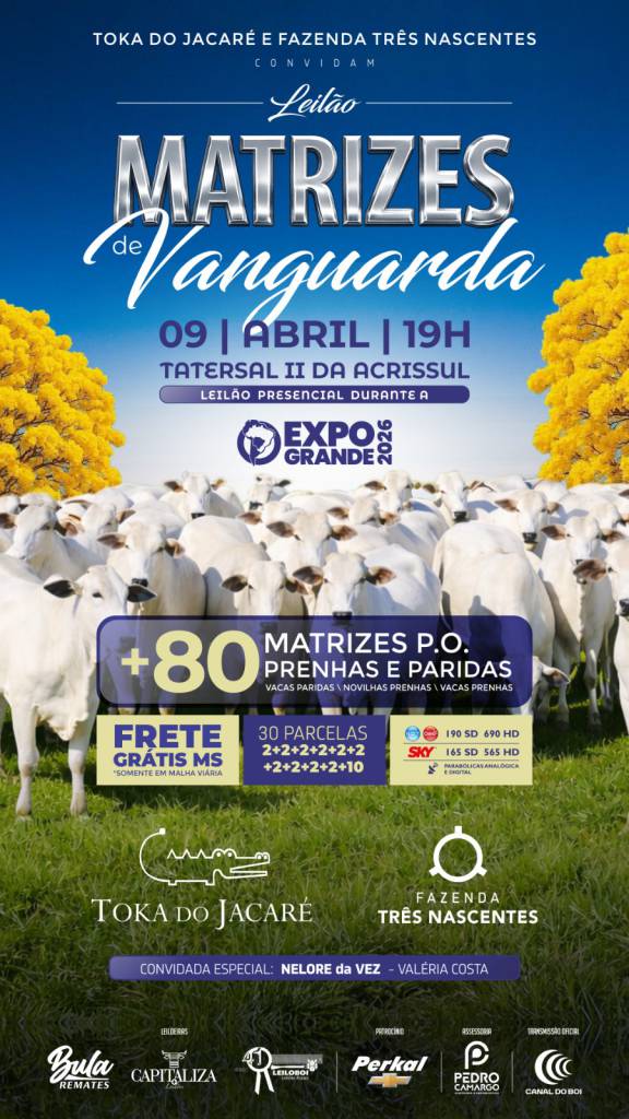 Leilão Matrizes de Vanguarda hoje às 20h no Canal do Boi