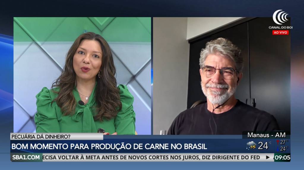 Pecuária dá dinheiro? Brasil segue em bom momento para produção de carne bovina