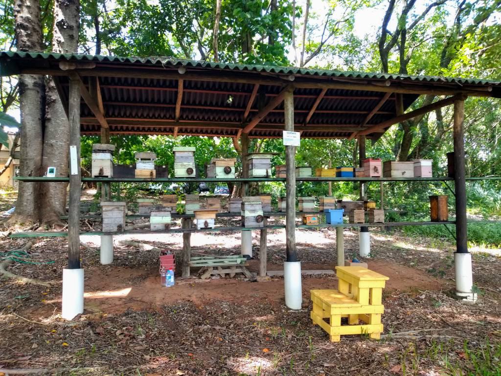 Agricultores familiares reconhecem a importância dos polinizadores na produção de alimentos, mas demandam conhecimentos sobre o tema