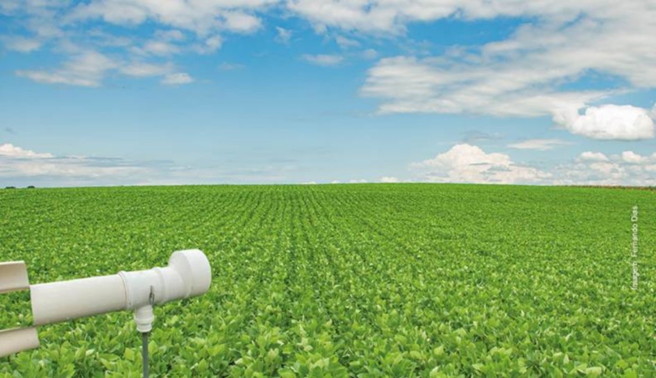 Monitora Ferrugem RS encerra monitoramento da ferrugem asiática da soja para a safra 2025/2026 