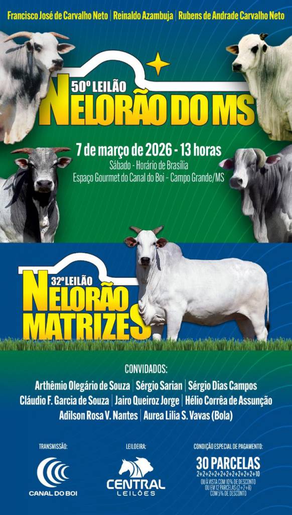 Nelorão do MS realiza evento com oferta de touros e matrizes nelore PO e POI