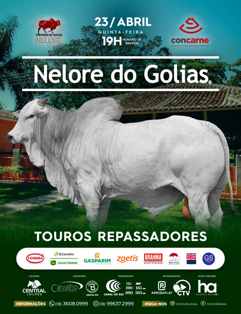 Leilão Virtual Nelore do Golias oferta touros repassadores nesta quinta-feira no Canal do Boi