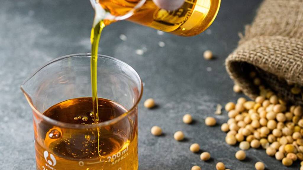 Abiove eleva projeção de processamento de soja para recorde de 62,2 milhões de toneladas