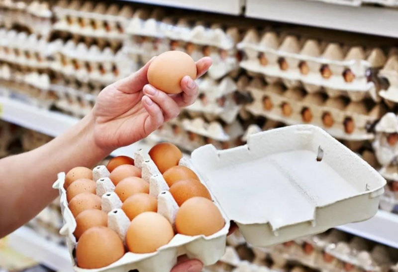 Venda de ovos livres de gaiolas avança lentamente nos supermercados brasileiros
