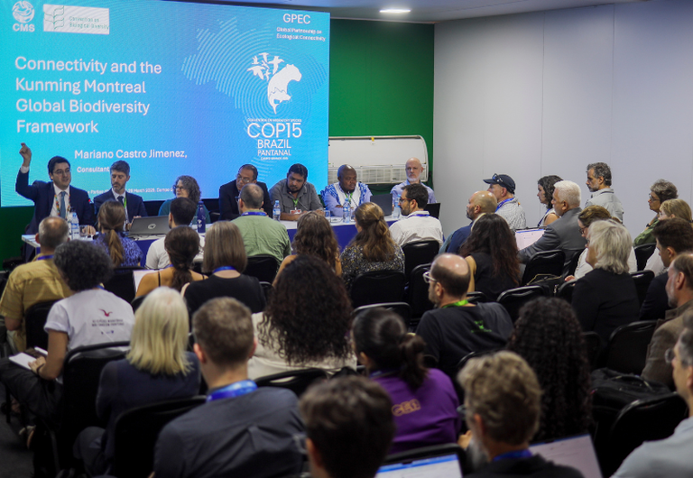 Na COP15, MMA defende papel de povos indígenas e comunidades tradicionais na conectividade ecológica para proteção de espécies migratórias