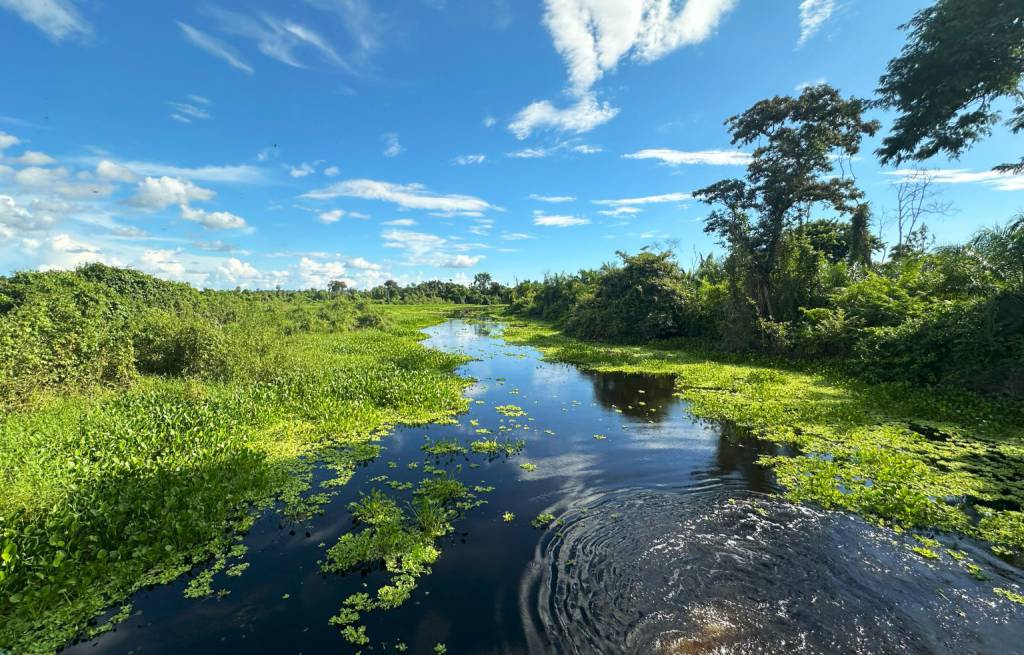 Com biodiversidade única, turismo e conservação no Pantanal e em Bonito atraem olhares do mundo todo