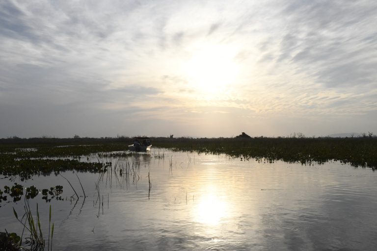 Para preservar o Pantanal, PSA Brigadas destinou mais de R$ 6,1 milhões para diferentes projetos sustentáveis