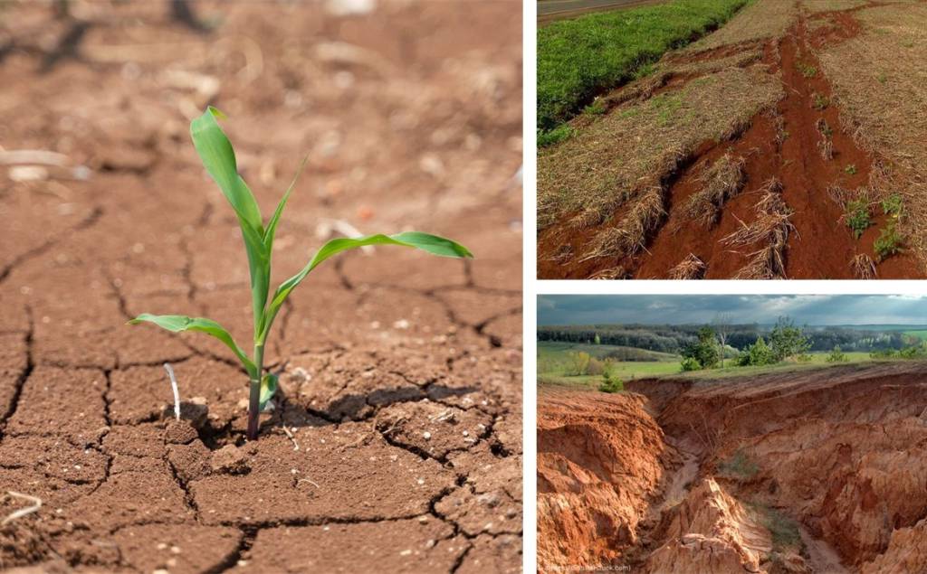 Super El Niño ameaça safra com estiagem no Centro-Oeste e chuvas no Sul
