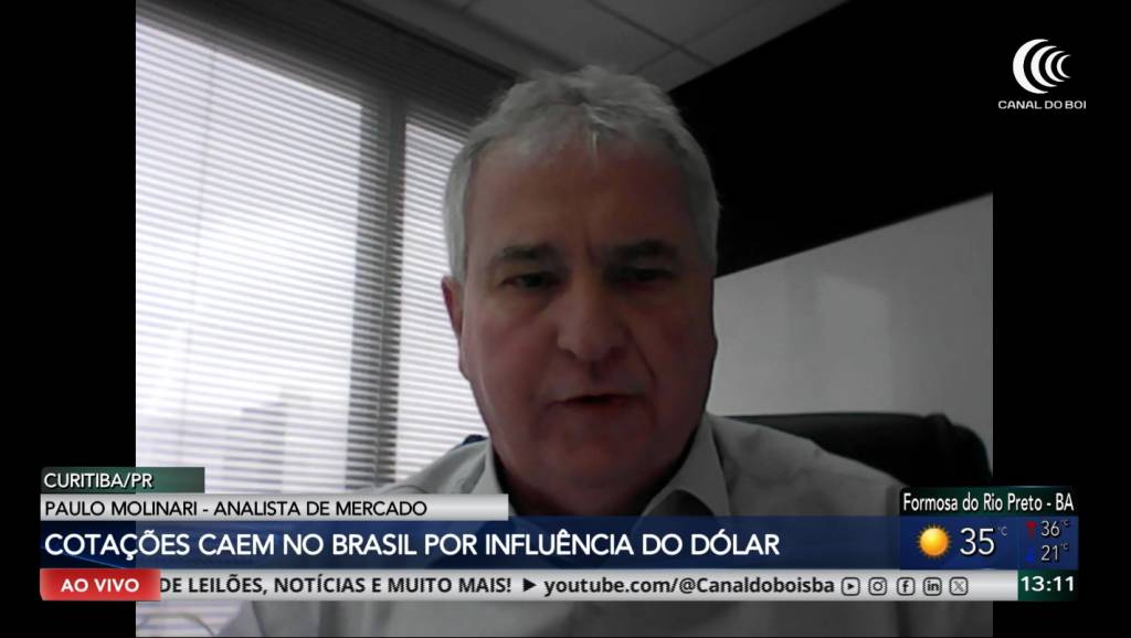Mercado de grãos recua com pressão do dólar e atenção aos EUA