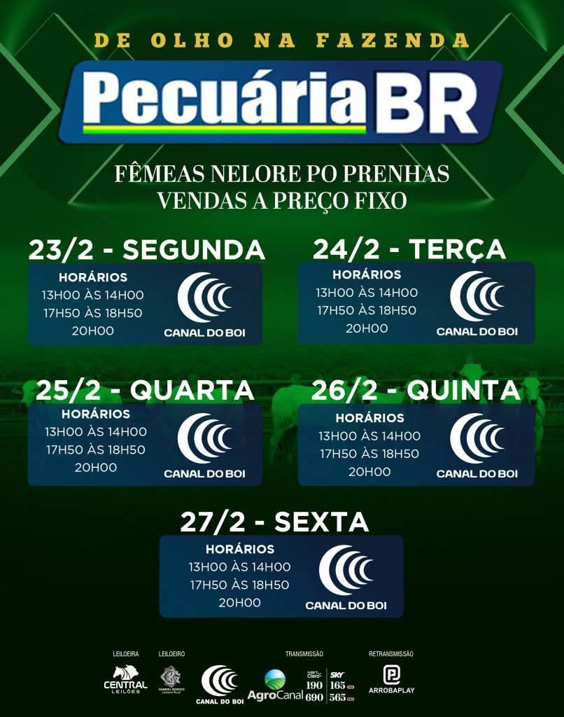 De Olho na Fazenda Pecuária BR vende a preço fixo 70 fêmeas nelore PO com AOL, marmoreio e EGS