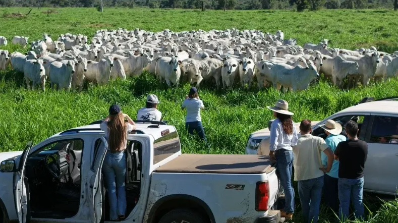 Comitiva Pecuária Tropical pelo Clima faz escuta de pantaneiros com Sindicato Rural de Corumbá em MS