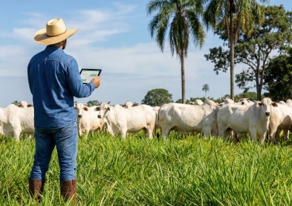 Pesquisadores avançam em parceria para integrar plataforma digital e ampliar competitividade da pecuária
