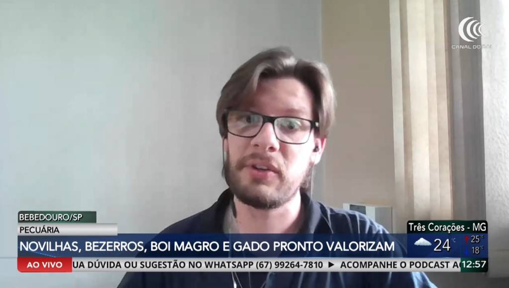 Mercado pecuáriao mantém valorização em diferentes categorias
