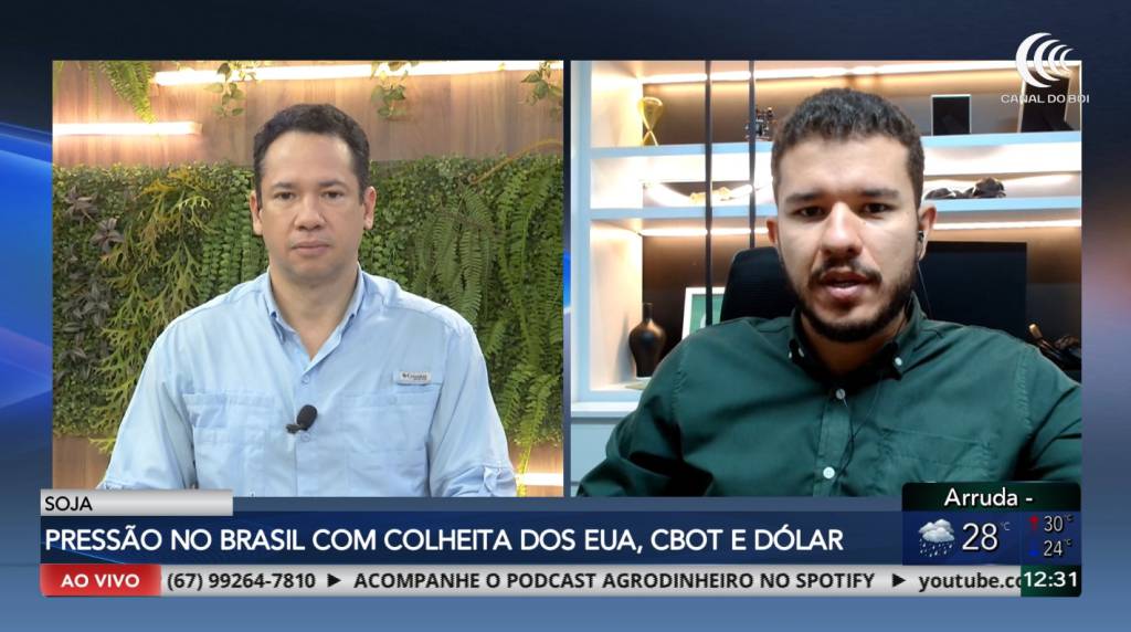 Soja brasileira pressionada pela colheita dos EUA e dólar