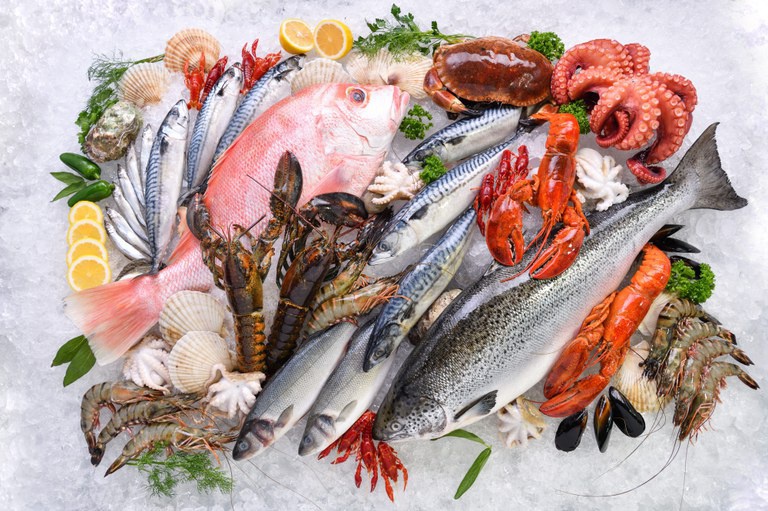 MPA e Mapa definem Nota Fiscal do Pescado como documento oficial de origem do pescado