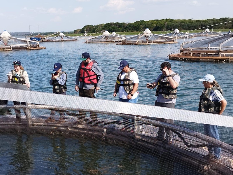  Instituto de Pesca avalia o uso de tanques-rede de grande volume na piscicultura continental