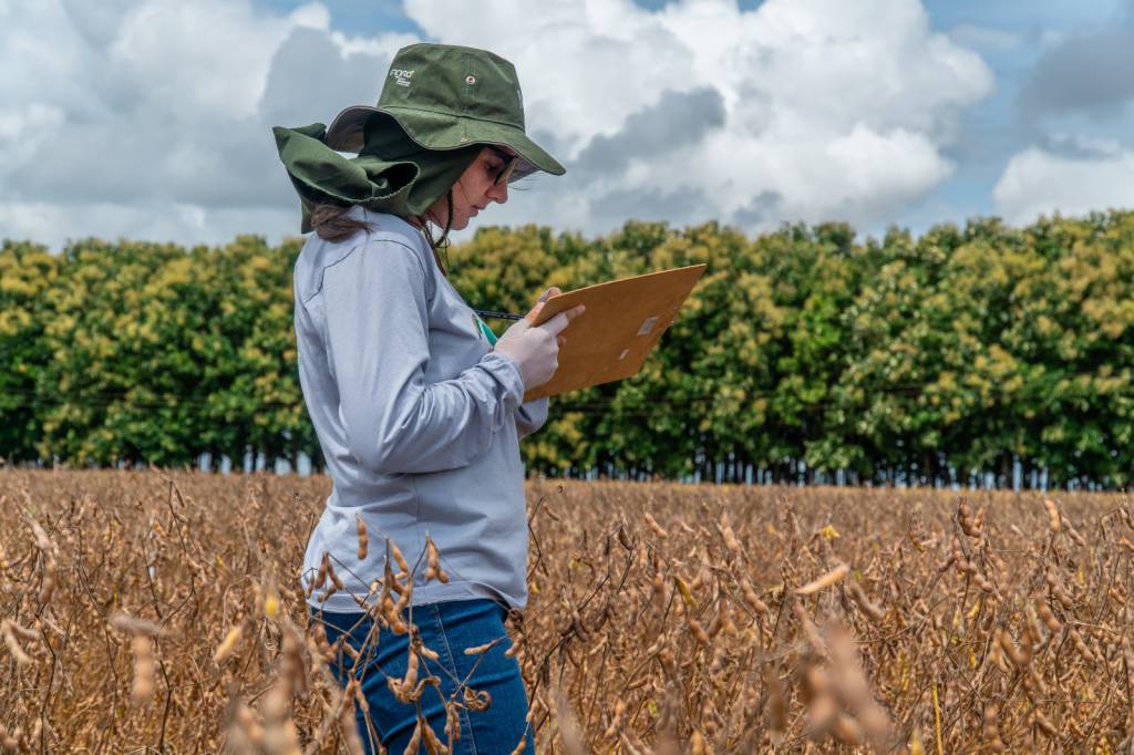 Pesquisas científicas voltada ao campo tornam lavouras mais eficientes e econômicas ao produtor