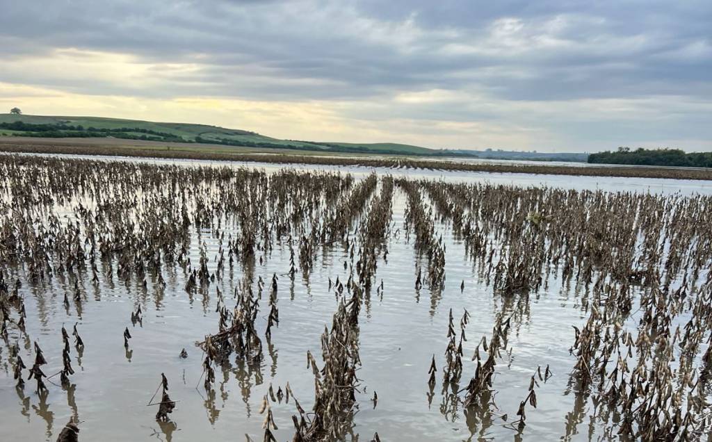 Entidades do agro cobram celeridade na operacionalização da MP das dívidas rurais